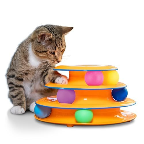 juego niveles gatos