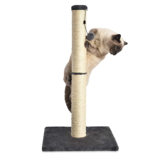 rascador mascota gato