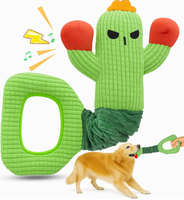 cactus chillon perros
