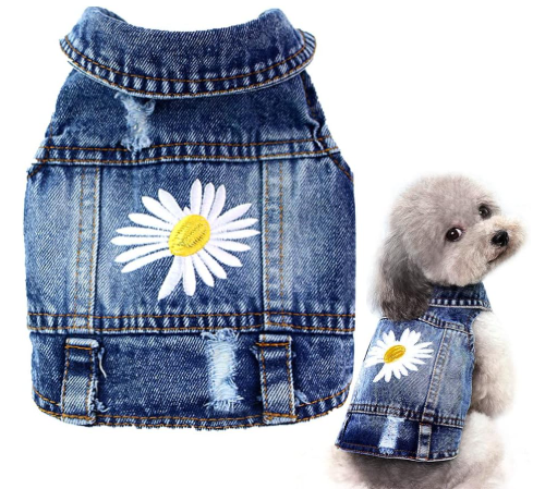 chaleco mascota perrita margarita