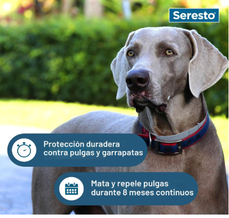 collar antipulgas perros mascotas