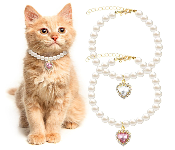 collar gatita mascota