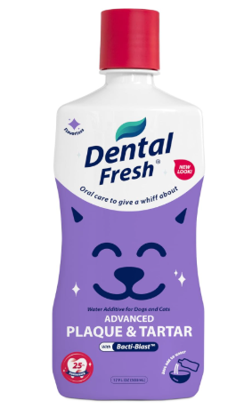 dientes sanos gatos mascota