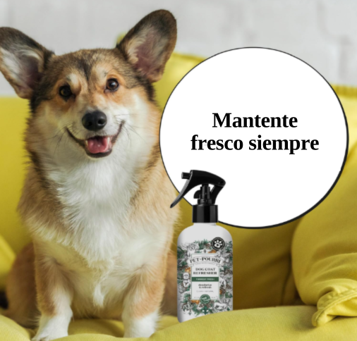mascotas desodorante perros gatos