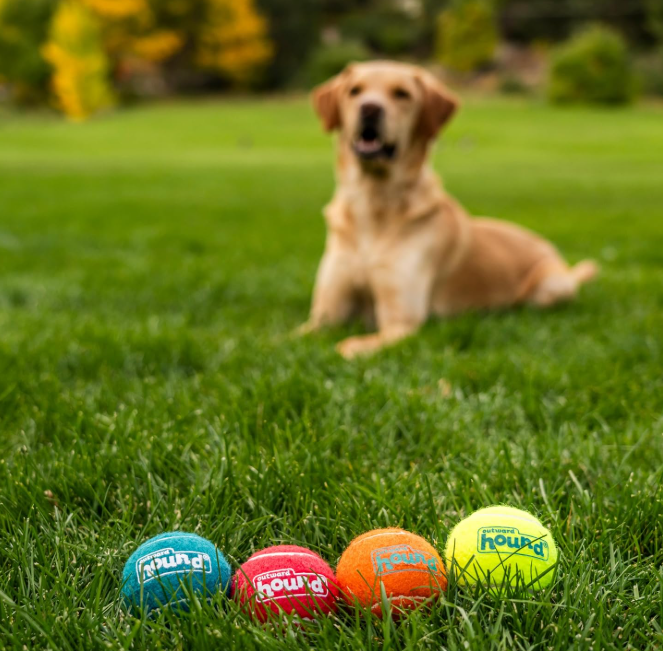 pelotas perros mascotas