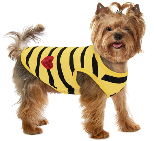 blusa ropa mascota perrita nena