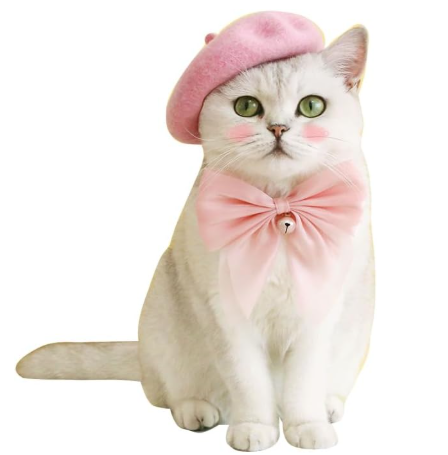 boina rosa mascota gatita moña