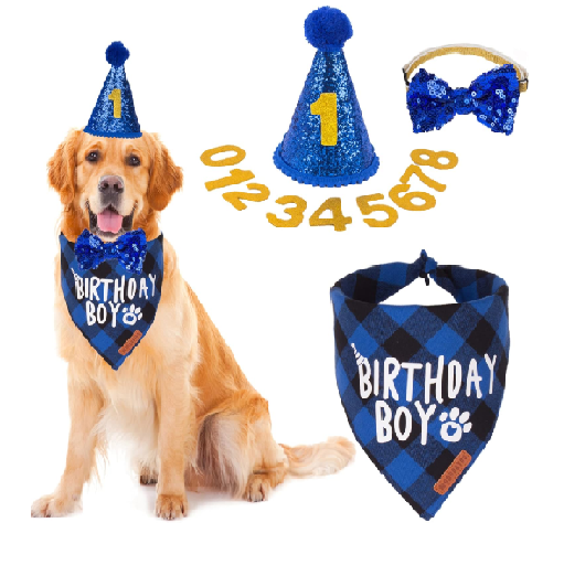 cumpleaños mascotas perros