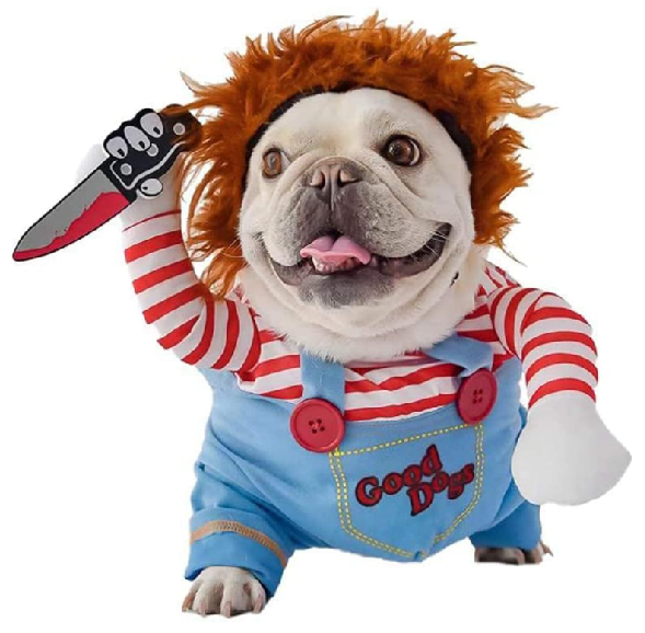 disfraz hallowen mascotas perros