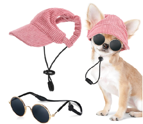 gorra vicera mascota perrita nena lentes
