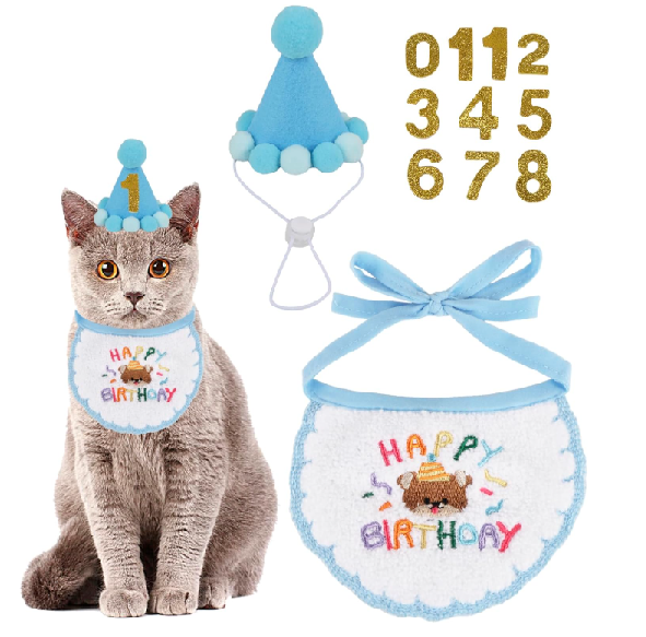 happy birthday gatos mascotas