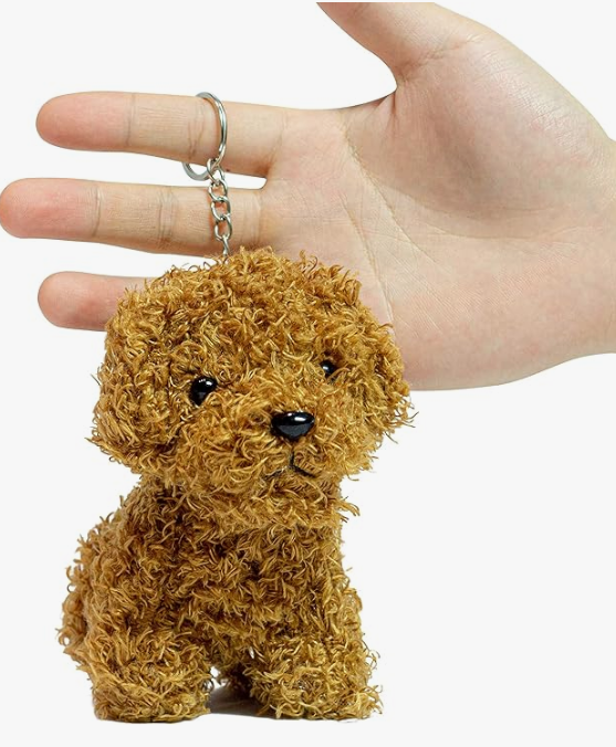 llaver perrito mascota peludito