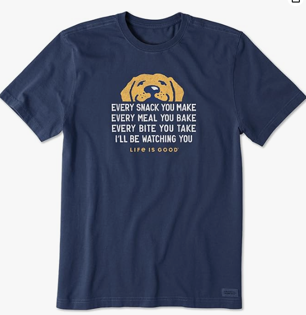 mascota perro playera verano