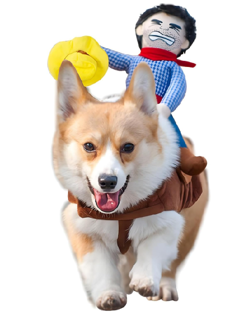 mascotas disfraz hallowen