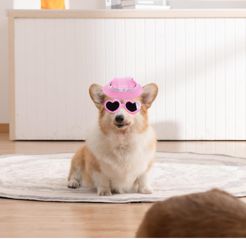 perrita mascota gafas gorra rosa nena