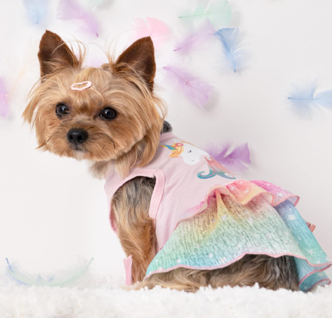 perrita nena unicornio vestido mascota