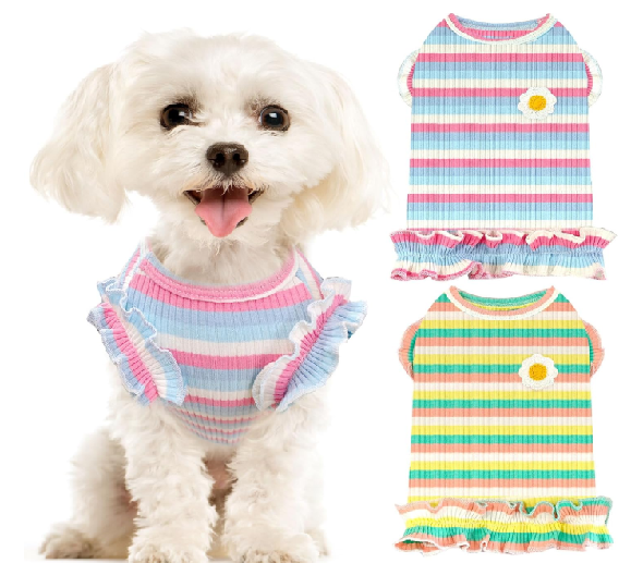 ropa perro niña mascotas