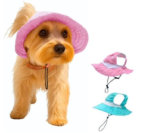 sombrero verano perrita nena mascota