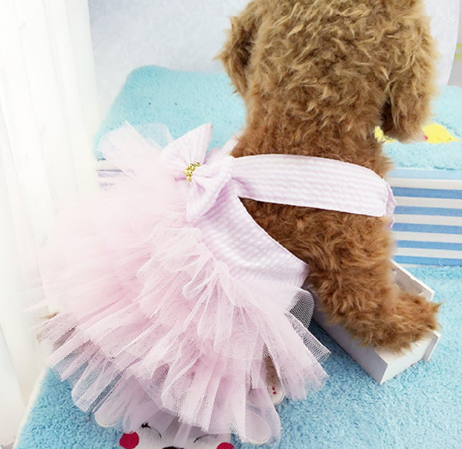 vestido tul mascota perrita